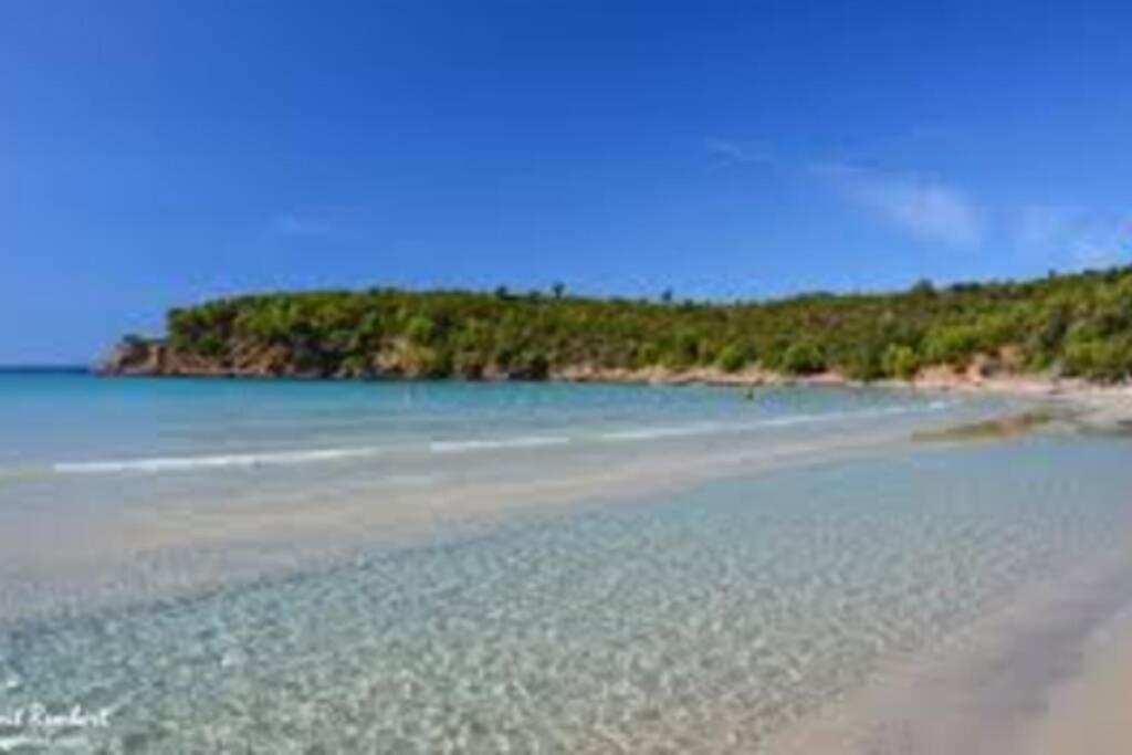 Studio Climatise Proche Port Et Plages La Londe-les-Maures Εξωτερικό φωτογραφία